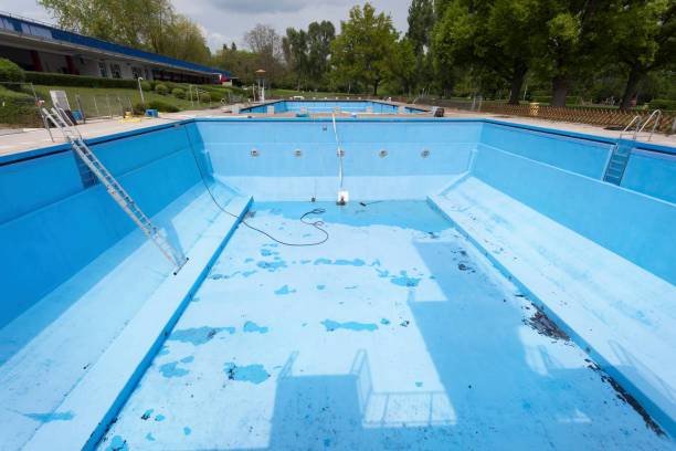Best Water damage contractors near me  in Truth Or Consequences, NM