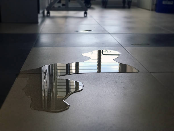 Best Water damage restoration near me  in Truth Or Consequences, NM