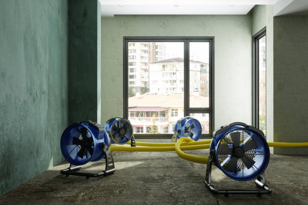 Best Emergency water damage restoration  in Truth Or Consequences, NM